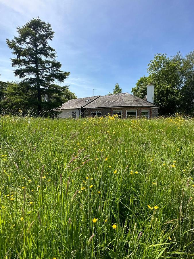 Balsoon Ferienhaus
